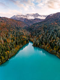 The majestic contrast between the water and the forest in this autumn