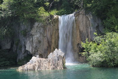 Scenic view of waterfall in forest