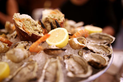 Close-up of oysters served in plate