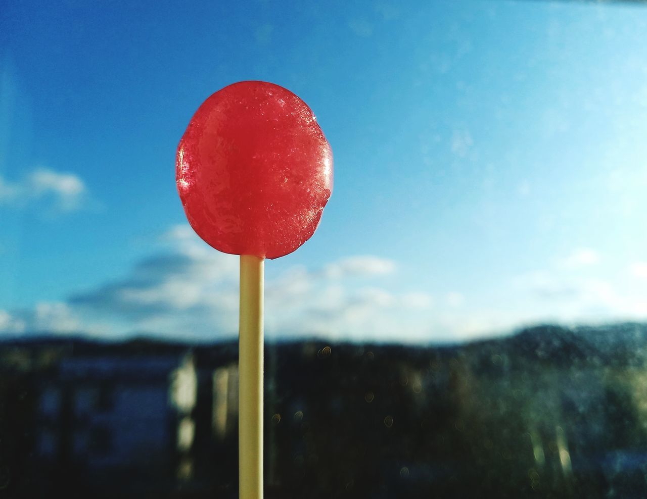 red, sky, nature, no people, focus on foreground, cloud, day, flower, outdoors, close-up, reflection, blue, food, plant