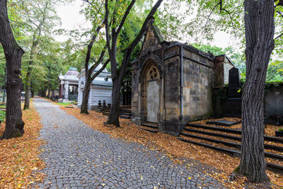 Street amidst trees and buildings during autumn