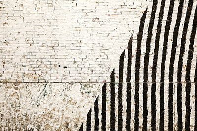 Shadow of trees on sunny day