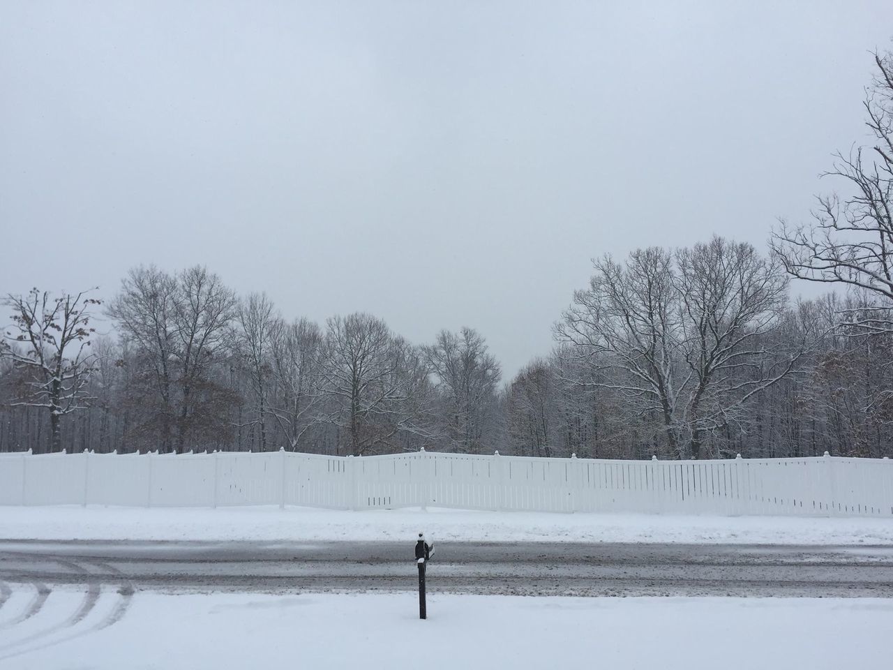 winter, snow, cold temperature, season, weather, tree, clear sky, bare tree, tranquility, tranquil scene, covering, nature, landscape, field, beauty in nature, white color, frozen, lifestyles