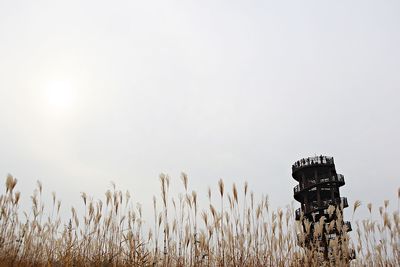 Plants on field against clear sky