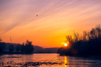 Scenic view of silhouette trees against orange sky