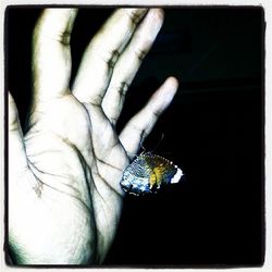 Close-up of cropped hand holding text