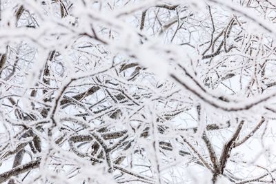 Full frame shot of snow