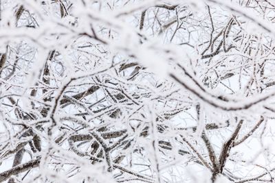 Full frame shot of snow