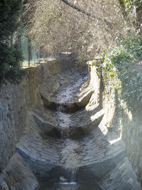 Close-up of water against trees