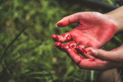 Close-up of hand holding red plant