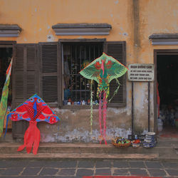 Kites hanging on window of shop