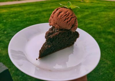 Close-up of cake in plate on field