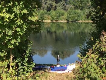 Scenic view of lake by trees