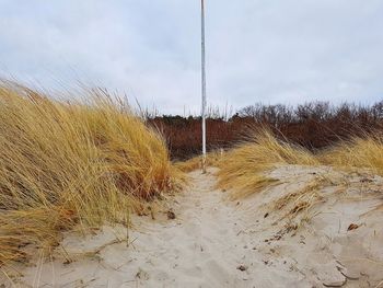 Scenic view of field against sky during winter