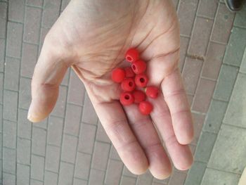 High angle view of hand holding red berries