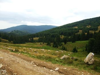 Scenic view of landscape against sky