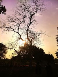 Silhouette trees against sky during sunset