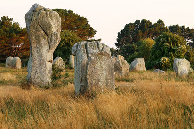 Rocks on field against sky