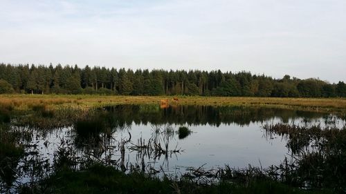 Scenic view of calm lake