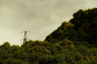 Low angle view of trees against sky