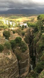 High angle view of trees on landscape