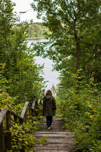 Rear view of man walking in forest