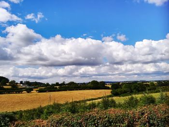 Scenic view of agricultural field against sky