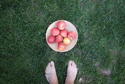 Low section of person standing by fresh apples in plate on grass at back yard