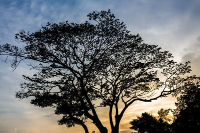 Low angle view of silhouette tree against sky during sunset