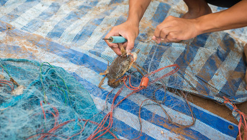 High angle view of fisherman removing crab from fishing net