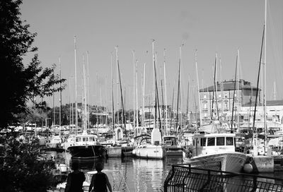 Sailboats moored at harbor against clear sky