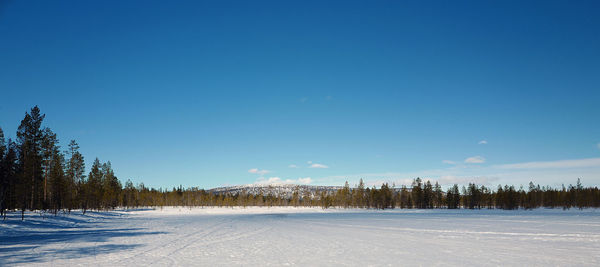 Scenic view of snow field against clear blue sky