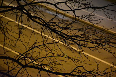 Close-up of bare tree against sky