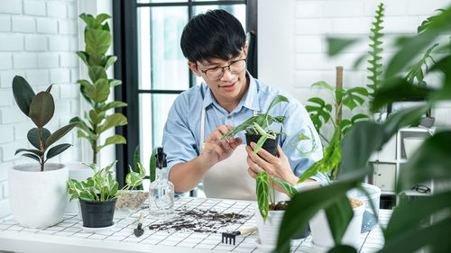 Young man looking at potted plant
