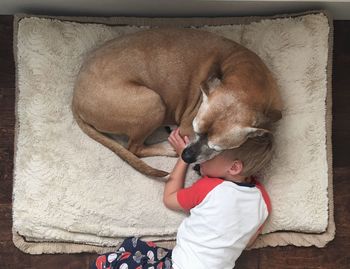 Boy sleeping with dog