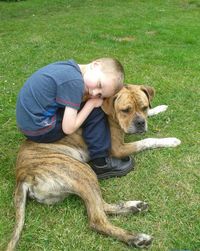 Dog playing on grassy field