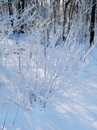 Scenic view of snow covered land