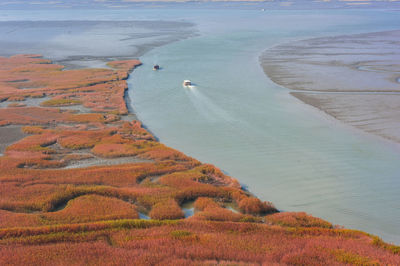 High angle view of beach