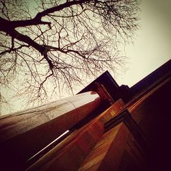 Low angle view of bare trees against sky