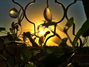 Plants against sky at dusk