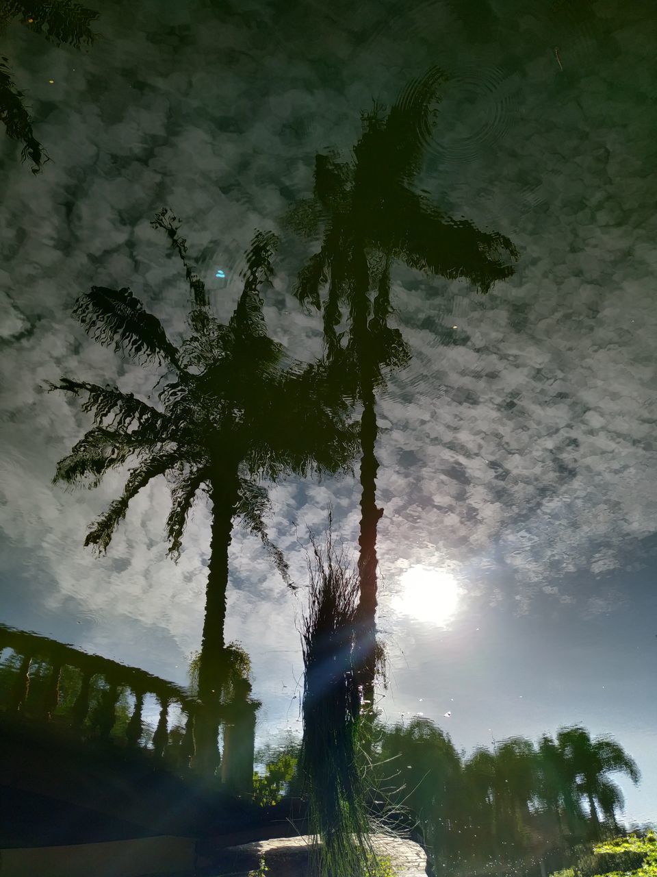 LOW ANGLE VIEW OF PALM TREES AGAINST BRIGHT SKY