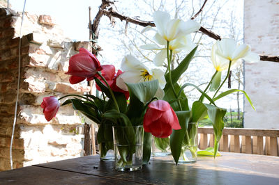 Close-up of pink flowers in vase