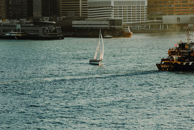 Sailboats sailing on sea in city