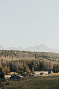 Scenic view of landscape against clear sky