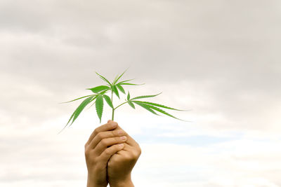 Close-up of hand holding marijuana against sky