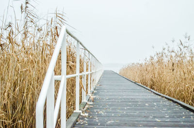 Boardwalk amidst plants on field against clear sky