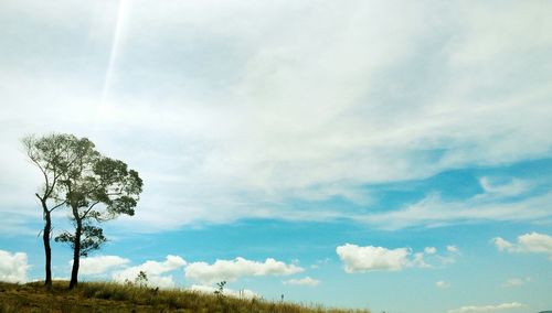Low angle view of trees against cloudy sky