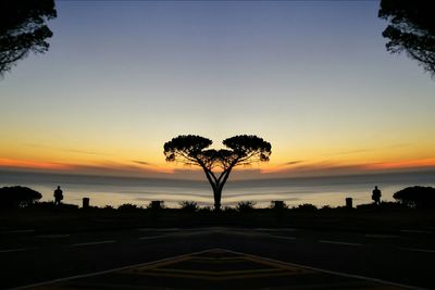 Silhouette trees against sky at sunset