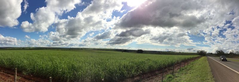 Scenic view of field against cloudy sky