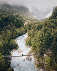 High angle view of stream amidst trees in forest